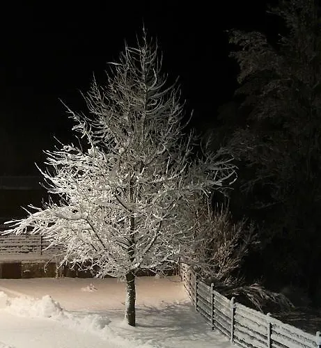 Hotel Complejo Turistico Y